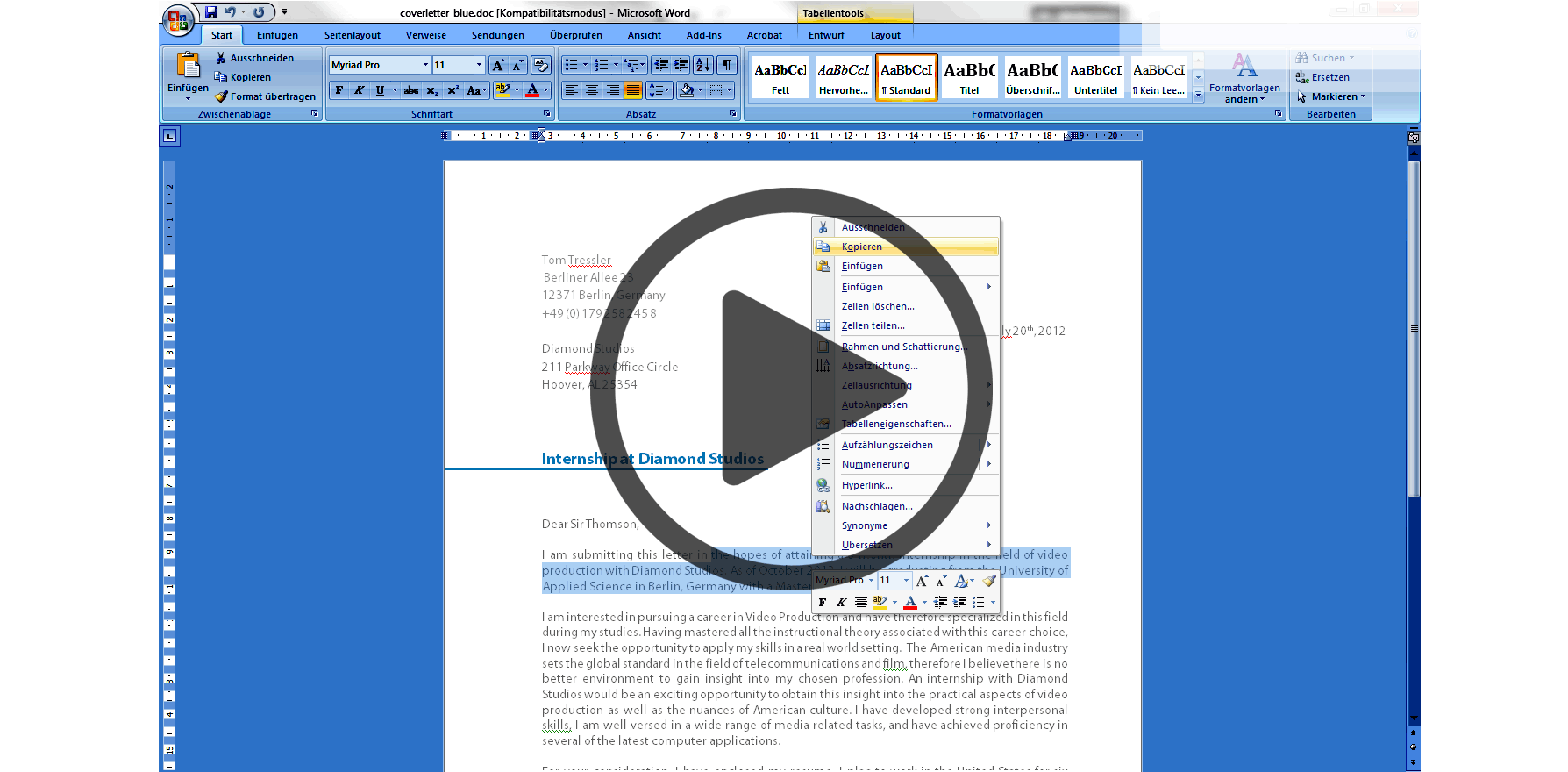 englischer Lebenslauf