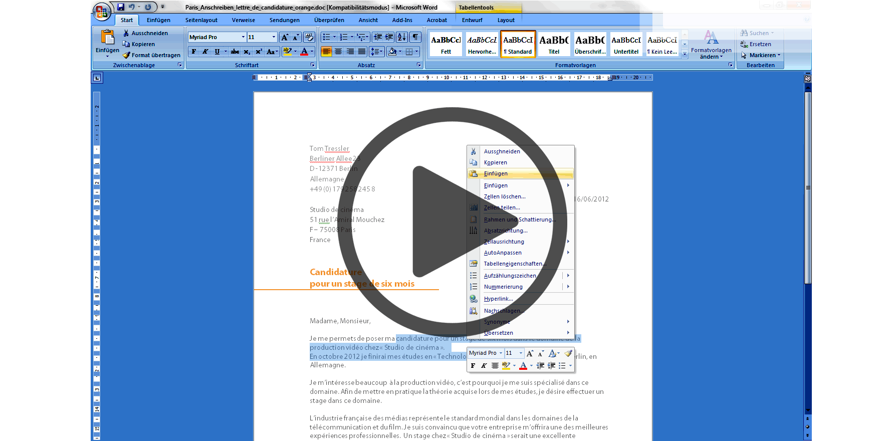 EU Lebenslauf Vorlage