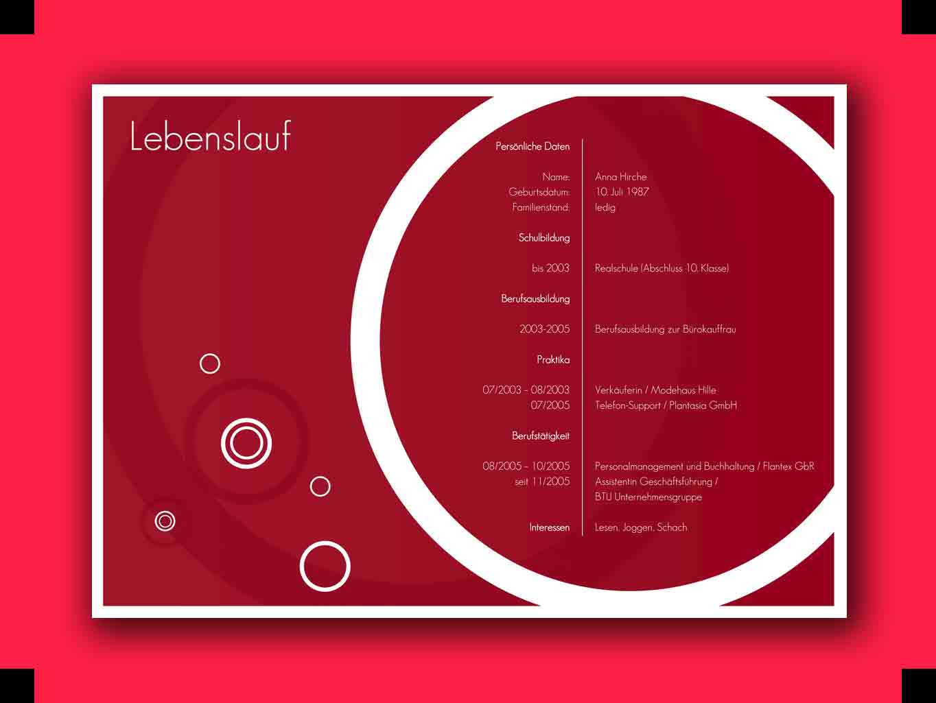 ausführlicher Lebenslauf