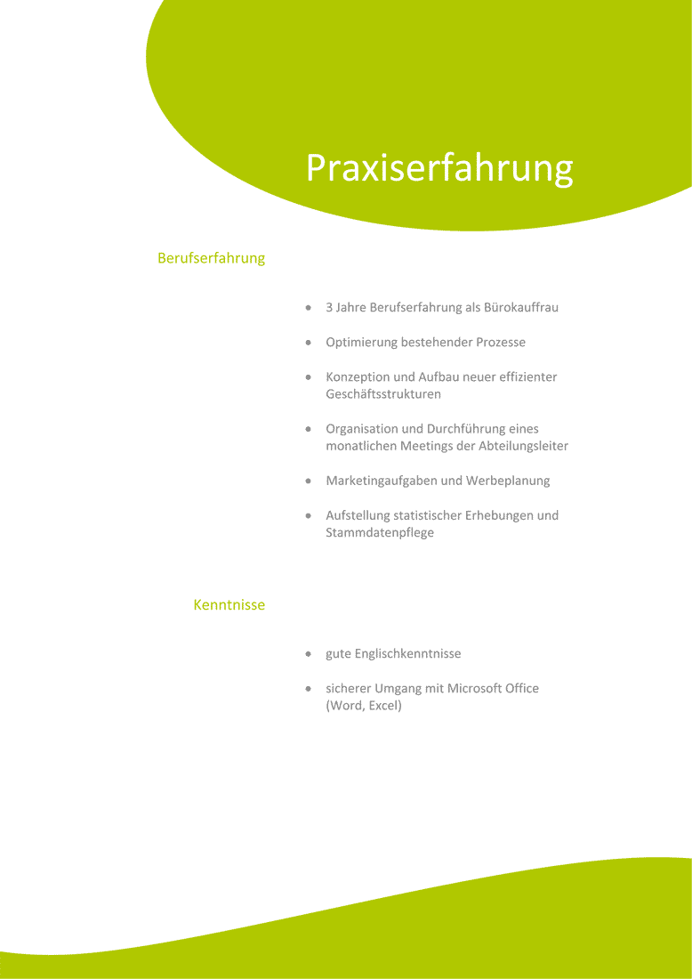 Bewerbung als Muster Berufserfahrung