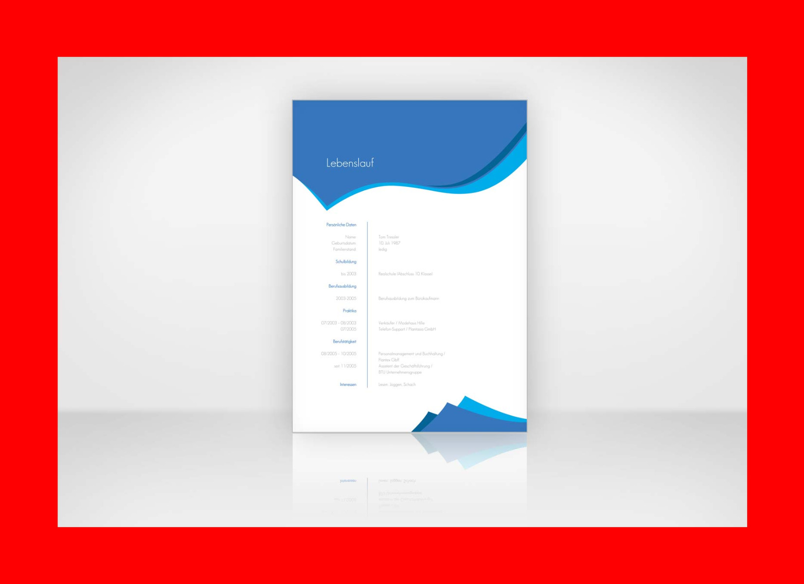 Curriculum Europass