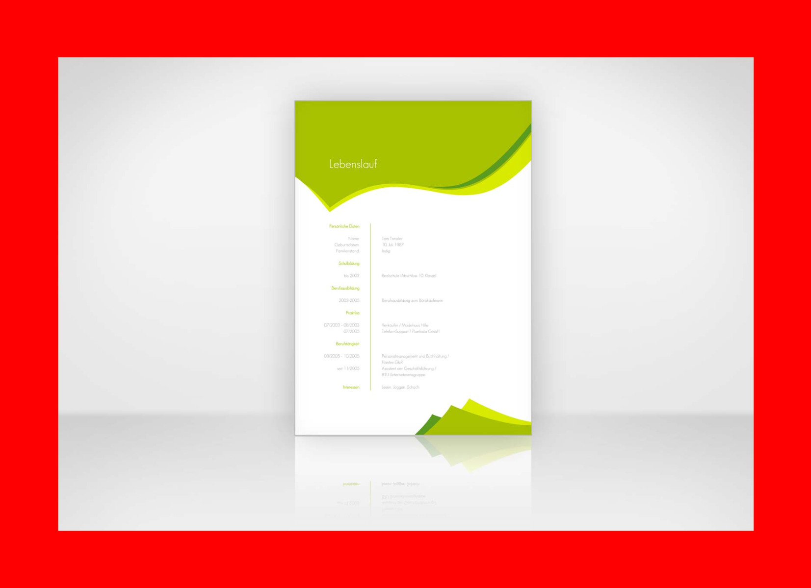 Curriculum Vitae CV
