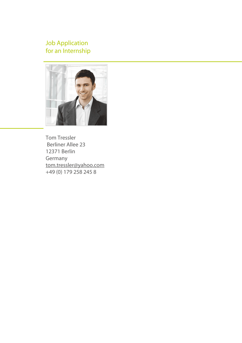 cv english sample