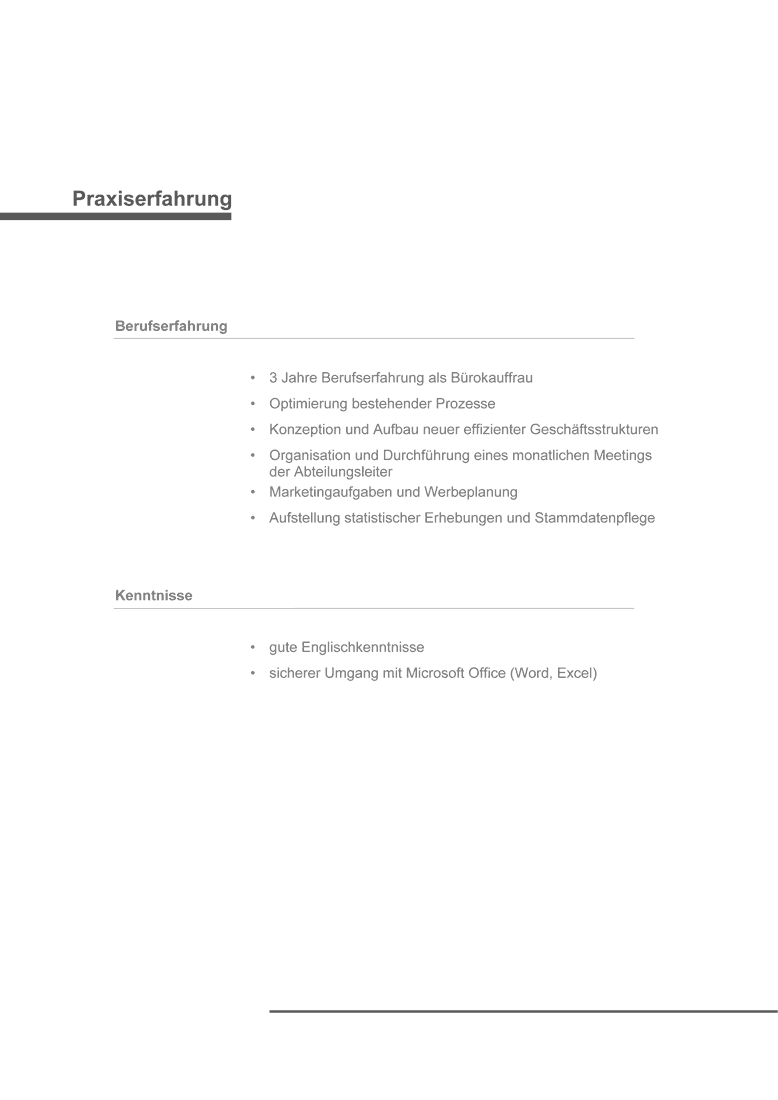 Lebenslauf Bewerbung