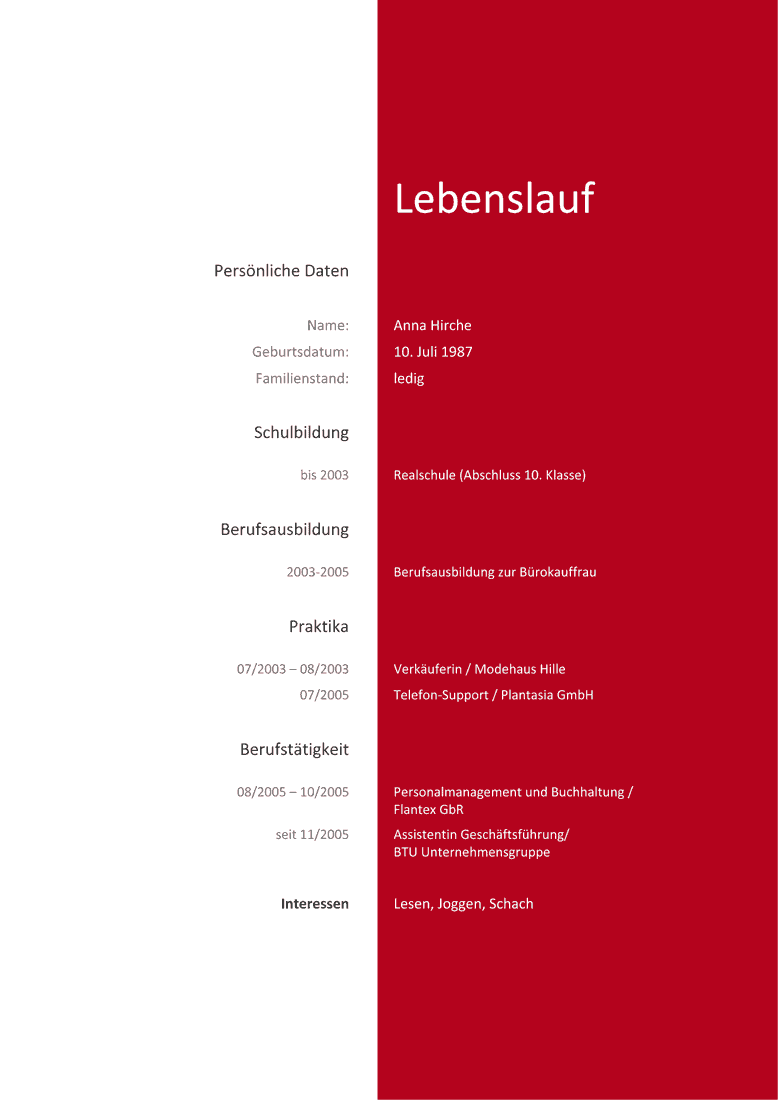 Lebenslauf CV