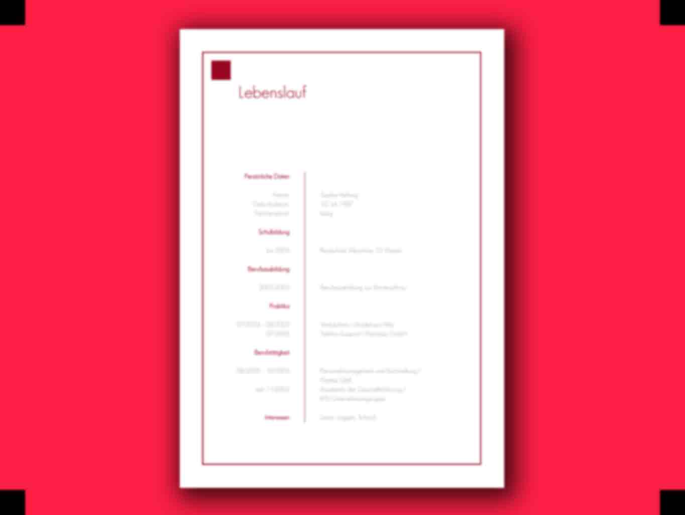 Lebenslauf Schriftgröße