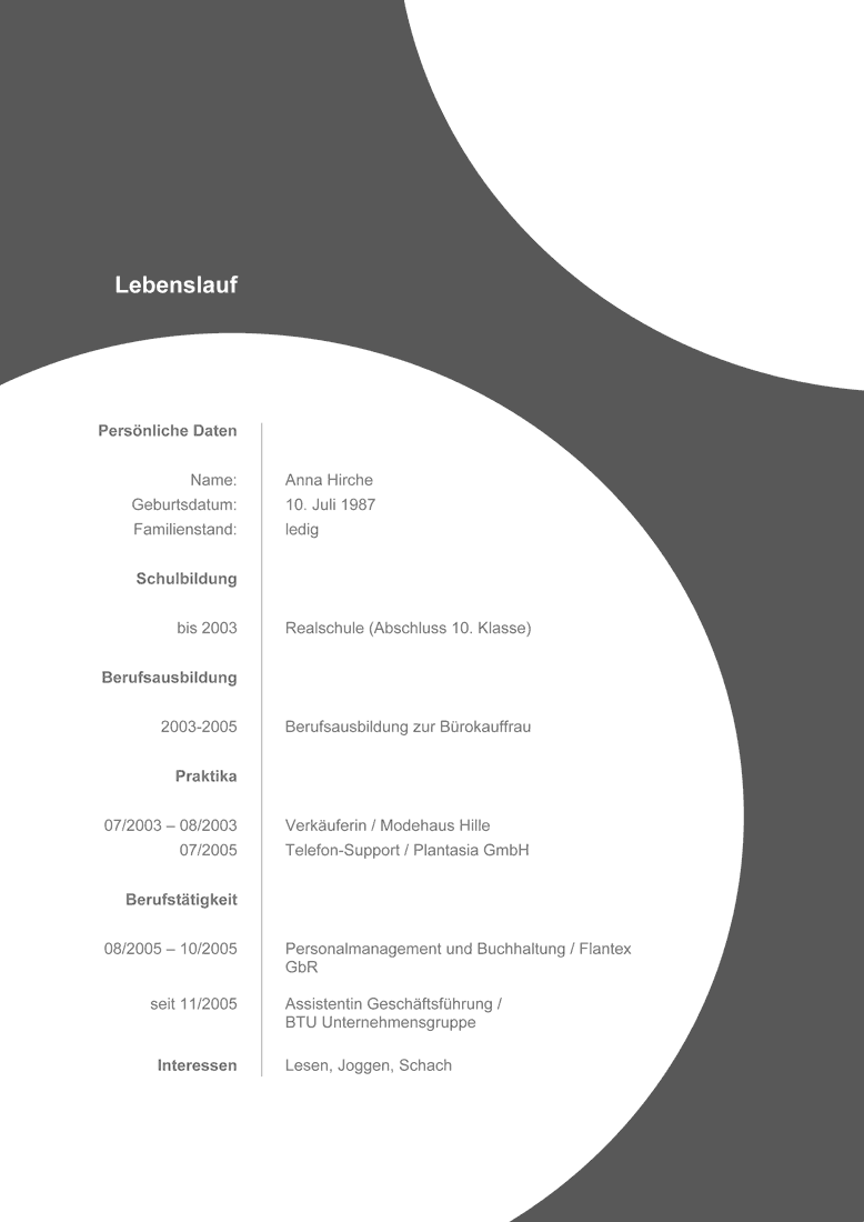 Lebenslauf Vorlagen Word